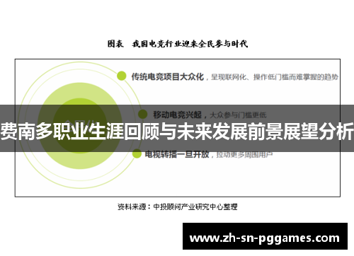 费南多职业生涯回顾与未来发展前景展望分析