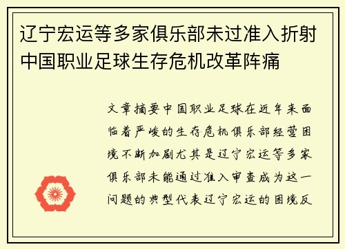 辽宁宏运等多家俱乐部未过准入折射中国职业足球生存危机改革阵痛